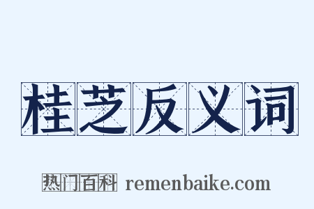 桂芝反义词是什么意思的图片